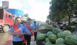 临夏吃瓜最新事件爆料,揭秘背后惊人真相，网络热议持续升温