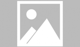 动漫美女工,描绘青春梦想的彩色画卷