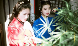 汉服视频,一场视觉与文化的盛宴